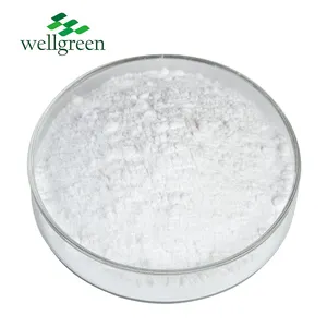 Wellgreen Cosmetic Grade 99% Polydeoxyribonucleotide PDRN Powder For Skin