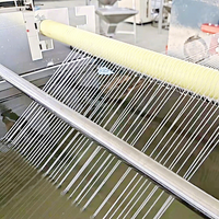 Geri Dönüştürülmüş PET Pullarından Süpürge Monofilament Ekstrüzyon Makinesi PP Monofilament Makinesi Halat Yapımı İçin Ekstrüzyon Ekipmanı
