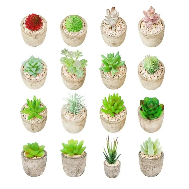 Vente en gros de plantes succulentes artificielles assorties, fausses plantes succulentes décoratives en pot Cactus Cactus plantes avec Pots gris