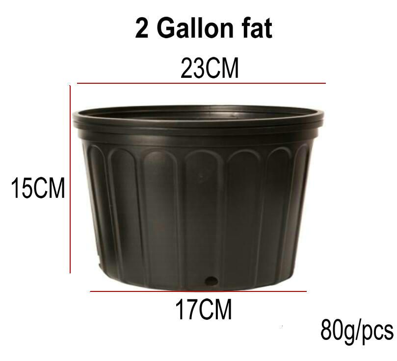 2 gallons fat