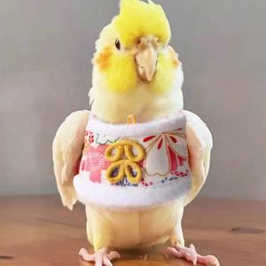 Grosir pakaian burung peliharaan pakaian burung beo pakaian Cockatiel - Product Image 2