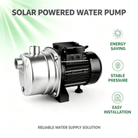 Pompe à jet solaire DC en acier inoxydable 304, auto-amorçante, pour eau de surface, avec turbine en laiton, pour l'irrigation domestique et l'alimentation en eau