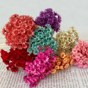 迷你染色菊花干花，适合家庭和婚礼装饰用天然干花束