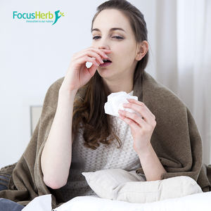 FocusHerb Extracto de raíz de jengibre negro de grado alimenticio en polvo 5% 5,7-Extracto de hierbas de dimetoxiflavona - Product Image 3