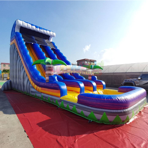 Dual lane toboggan aquatique gonflable kids outdoor bounce house inflatable tropical water <b>slide</b> with <b>pool</b> - Product Image 2