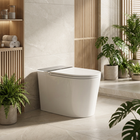S027 WC intelligent Watermark australien avec évacuation universelle S-trap 60-400mm, P-trap 180mm, cuvette de toilette avec bidet et certification CE