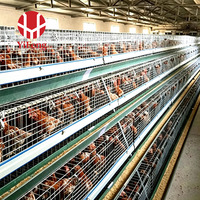 Système de cage d'élevage de type A pour l'élevage de poussins avec alimentation automatique, équipement commercial pour ferme avicole, vente en gros