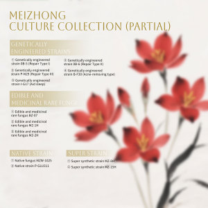 Maschera riparatrice di zafferano maschera illuminante e idratante per il viso con estratto di zafferano per la riparazione e la rivitalizzazione della pelle - Product Image 4