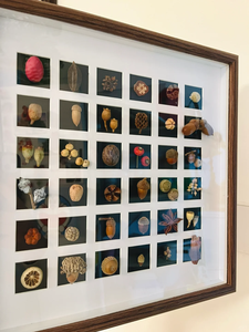 <span class=keywords><strong>Cadre</strong></span> <span class=keywords><strong>photo</strong></span> <span class=keywords><strong>en</strong></span> bois fait à la main 20x20x30x30 collage ensemble <span class=keywords><strong>verre</strong></span> organique 16/24/36/48 grille impression UV A1 A3 <span class=keywords><strong>tout</strong></span> affichage <span class=keywords><strong>cadre</strong></span> <span class=keywords><strong>photo</strong></span> <span class=keywords><strong>en</strong></span> bois - Product Image 5