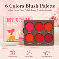 Palette de Fard à Joues Poudre Mat 6 Couleurs, Maquillage Visage en Gros, En Stock