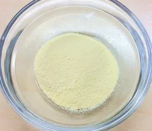 Japanese High Quality Heat Killed Bifidobacterium Raw Material Powder Made In Japan For Health Foods And Dietary Supplement