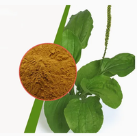 Approvisionnement en vrac Psyllium Seed Husk Extrait de plante Sperme plantaginis Psyllium Husk à vendre à vendre