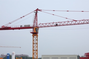 Prix de vente de la grue à tour SYT100 T6515-6 de la marque chinoise Building Machinery - Product Image 2