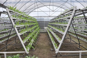 Nouvelle <span class=keywords><strong>gouttière</strong></span> <span class=keywords><strong>de</strong></span> plantation hydroponique <span class=keywords><strong>de</strong></span> jardin vertical agricole pour système <span class=keywords><strong>de</strong></span> culture hydroponique à effet <span class=keywords><strong>de</strong></span> serre tuyau <span class=keywords><strong>de</strong></span> ravin NFT - Product Image 5