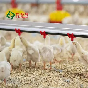 Fully Automatic Complete Broiler Feeder Poultry Shed Automatic Poultry Chicken Farm Equipment Coop