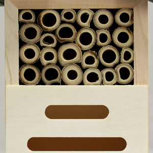 Tự Làm Gỗ trang trại Côn trùng <span class=keywords><strong>Net</strong></span> cho nhà màu xanh lá cây treo Mật Ong Ong Hive có lợi côn trùng nhà gỗ - Product Image 4