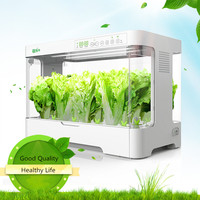 Systèmes de culture hydroponique NFT pour légumes en intérieur, jardin vertical domestique avec lumière LED