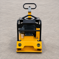 Compacteur de plaques à moteur 3KW, approvisionnement en gros pour les revendeurs de matériaux de construction