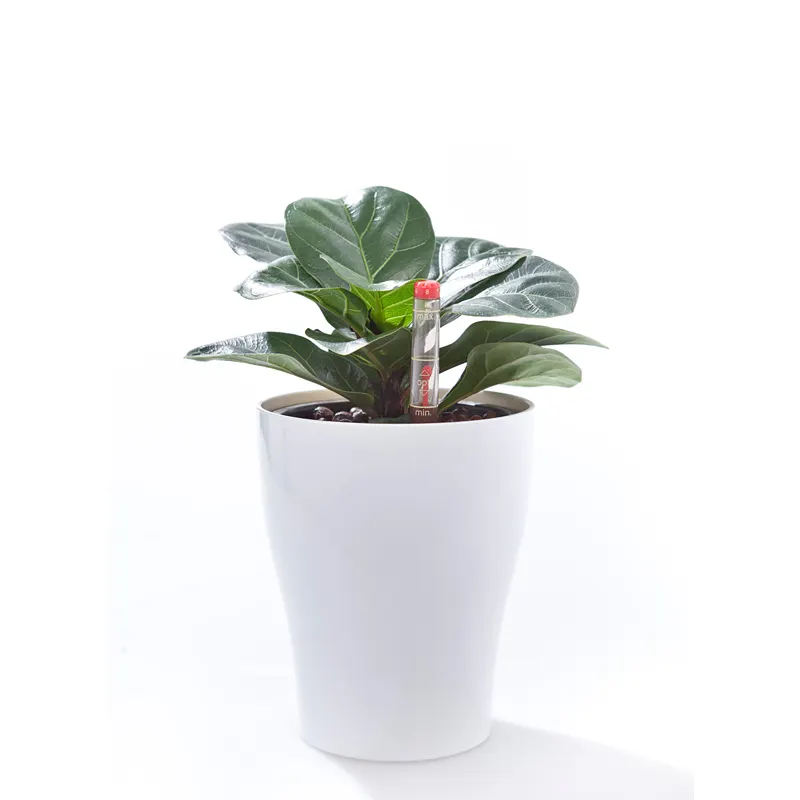 Wholesale Factory Supplier Smart Garden Round Self Watering Plastic Flower Pots