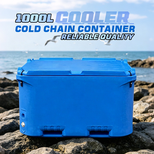 Contenitore Isolato per Lavorazione Prodotti Ittici, Capacità Ultra Grande 1000L, Scatola Isolata per Pesce in Rotomolded per Catena del Freddo, Personalizzazione OEM&ODM - Product Image 5