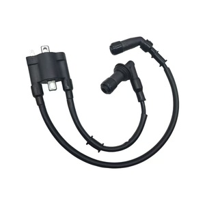 Bobine d'allumage Jilong 3391 pour moto Benelli Mini Dragon 2 cylindres, pièce de rechange - Product Image 3