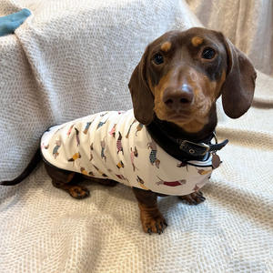 Abrigo para Perros Qiqu Personalizado de Diseñador Estilo Clásico, Chaqueta <span class=keywords><strong>Impermeable</strong></span> de Poliéster para Mascota con Estampado de <span class=keywords><strong>Perro</strong></span> <span class=keywords><strong>Salchicha</strong></span> - Product Image 6