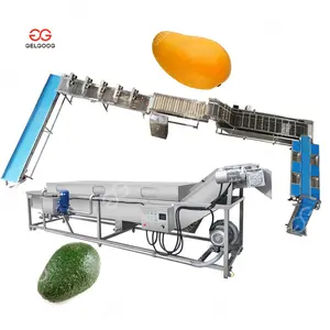 Fruit Blanching and Baby Melon Weight Grading Mango Washing and Sorting Machine