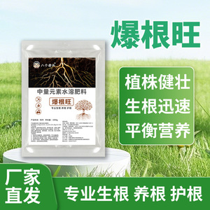 Fertilizante soluble en agua Bao Gen Wang, 1000g, promotor del crecimiento de raíces con elementos medios para plantas verdes, flores, frutas y verduras - Product Image 5
