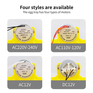 Meilleure qualité incubateur plateau à oeufs <span class=keywords><strong>24</strong></span> pièces oeufs de poule plateau à oeufs à rotation <span class=keywords><strong>automatique</strong></span> pour mini incubateur - Product Image 5