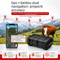 Traceur GPS solaire 4G pour bétail, positionnement multi-précis, alerte géofence, étanche IP67, personnalisation disponible