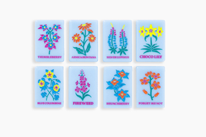 ชุดไพ่นกกระจอกอะคริลิคแบบอเมริกันสีฟ้า ชุดเกมไพ่นกกระจอกสิงคโปร์ ญี่ปุ่น มาเลเซีย ของขวัญงานฝีมือ - Product Image 2