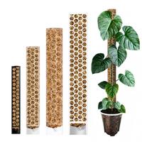 Poteaux d'extension en plastique pour plantes grimpantes, poteaux de soutien en mousse pour Monstera, bâtons de mousse pour plantes grimpantes