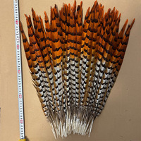 Großhandel Schwarz Gefärbte Reeves-Wildfasan-Schwanzfedern Lange Fasanenschwanzfedern Perfekt für Karnevalskostüm-Accessoires