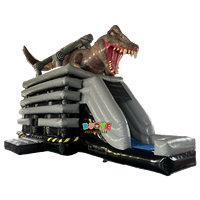 Maison gonflable de saut avec cadre de dragon, château gonflable, bon marché,