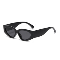Lunettes de soleil oeil de chat à la mode pour femmes décontracté à la mode UV400 PC cadre haute qualité couleur transfrontalière correspondant nouveauté