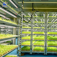 Chambre de germination climatisée pour semences avec support personnalisé ODM