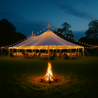 Tente à cadre en aluminium 30x50 Tente de fête de mariage en aluminium à dessus transparent en PVC imperméable de haute qualité
