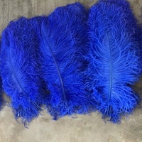40-45cm Bleu DIY Craft Event Home Decor Blanc Carnaval Festive Gold Plumes d'autruche pour Party Home Wedding Floral Vase Decor