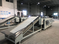 Citroen Oranje Fruit Wassen Waxen Sorteermachine