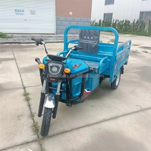 Tricycle électrique cargo populaire de haute qualité 60V 30AH 45AH 52AH 1000W à 3 roues pour adulte - Product Image 5