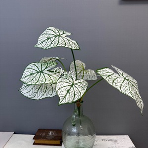 Plante artificielle Calathea Jinxi, verdure pour décoration de mariage, décoration intérieure, feuilles en plastique haute simulation - Product Image 1
