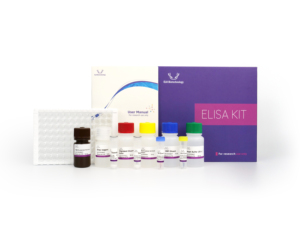 Meilleur prix Kit ELISA TNFa (facteur de <span class=keywords><strong>nécrose</strong></span> tumorelle alpha) humain prêt à l'emploi pour la recherche uniquement - Product Image 1