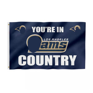 Nfl 30*45 सेमी <span class=keywords><strong>houston</strong></span> टेक्सन विंडो फ्लैग डिजिटल प्रिंटिंग के साथ खूबसूरती से तैयार किया गया - Product Image 5