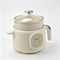 Chauffe-eau électrique intelligent mini, à chauffage rapide, anti-brûlure, en verre, pour cuisine domestique et dortoir, à économie d'énergie - Grande Vente
