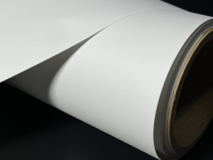 2023 Popular Print Digital Reposition Able and Removable Peel and Stick Self Adhesive <strong>Wall</strong> Polyester <strong>Canvas</strong> for Decoration - Product Image 4