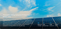 Panneaux solaires monocristallins bifaciaux de type N Topcon ultra haute efficacité Trina Vertex N G3 Commercial 650W 670W
