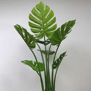 Plantes <span class=keywords><strong>albo</strong></span> Monstera de 90cm, décoration pour le jardin, la maison - Product Image 3