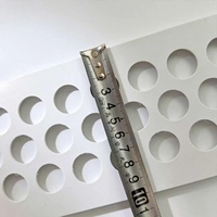 Courroie perforée en polypropylène de 100 mm pour la collecte automatique des œufs dans les poulaillers