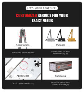 Ferme-<span class=keywords><strong>porte</strong></span> hydraulique TERRA DIGO OEM, ferme-<span class=keywords><strong>porte</strong></span> <span class=keywords><strong>automatique</strong></span> avec maintien en position et réglage à 2 vitesses pour systèmes d'accès aux chambres d'hôtel - Product Image 6