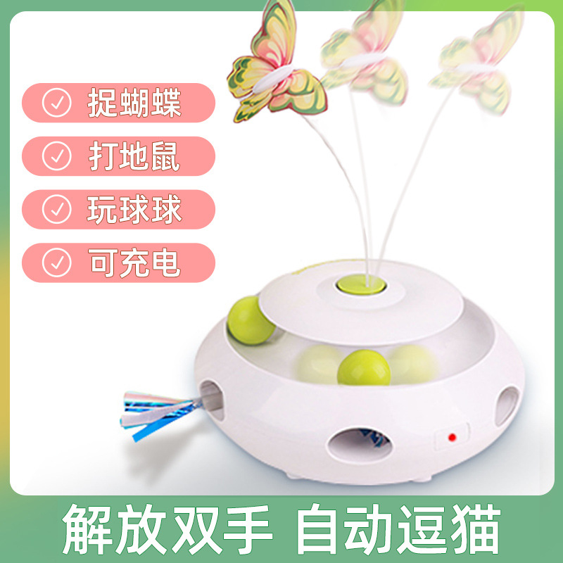 Multi-functional charging model
